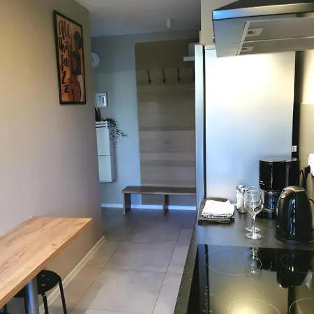 Apartament Wygoda Old Town Deluxe Wawelofts Apartmán Krakov